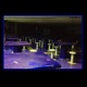The Best Playawave You ve Never Heard In Your Life