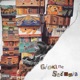 Giovane Scimmia Single