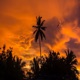 Sunset Single feat John Concepcion Single