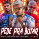 Pede pra Botar Single