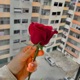 Palavras P ra Que Single