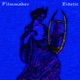 Eidetic