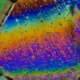 Leaf Syndrome Single