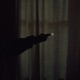 PISTOLA Single