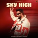 Sky High Single