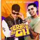 Terapia do GH feat Wandinho Single