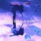 Falling Down Single