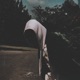 Falling Single