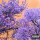 Faded on Mars feat Khale Single