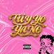 Tú y Yo Ya No feat Meloddy L FELO Single