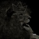Recognize the King Single
