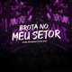 Brota no Meu Setor Single
