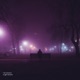 Nightwalk Single