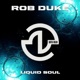Liquid Soul EP