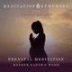 Prenatal Meditation Mother Earth s Womb feat Little Symphony Angeli Knight EP