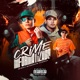 Crime Informatizado Single