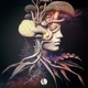 Cerebral Awakening Extended Mix Single