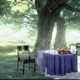 Setting the Table feat KingTrey Single