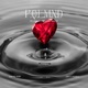 P Q L M N D Single