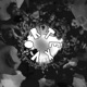 VORTEX Single
