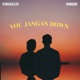 You Jangan Down feat ShinSide Single