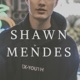 Shawn Mendes Single