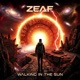 Walking In The Sun Single