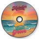 Sun Salt Groove Radio Edit Single