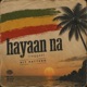 Hayaan Na feat Hit Pattern Reggae Single