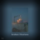 broken illusions Single