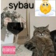 sybau Single