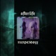 Afterlife Single