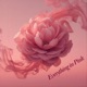 Everything in Pink Single