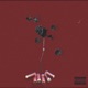 Guns N Rxses Single