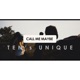 Call Me Maybe Single