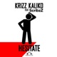 Hesitate feat ScribzZ Single
