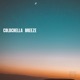 Coldchella Breeze Single