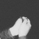 Intongues Single