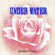 under water remix feat DJmegan23 Single
