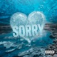 Sorry Single