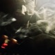 Dirty Souf Baby