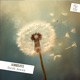 Drift Away Single