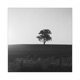 Do Right Now feat KVNYL Theah Single