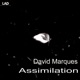 Assimilation Single