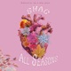 All Seasons Single
