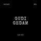 Gudi Gedam Single