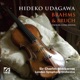 Brahms Bruch Violin Concertos