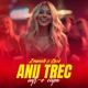Anii Trec Single