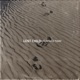 Lost Child Single