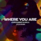Where You Are Zedd Remix Single